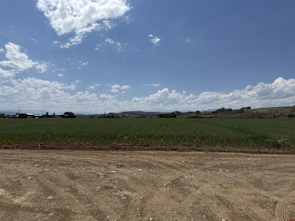 Tbd Orange Rd And 6400 Rd Property Photo 10