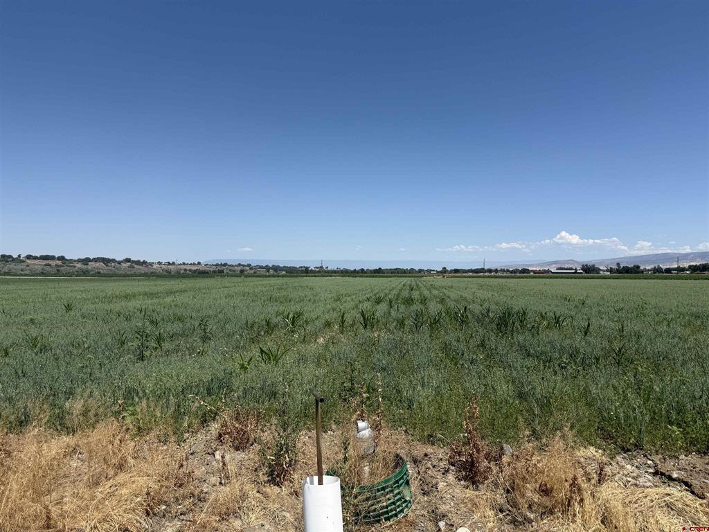 Tbd Orange Rd And 6400 Rd Property Photo 11