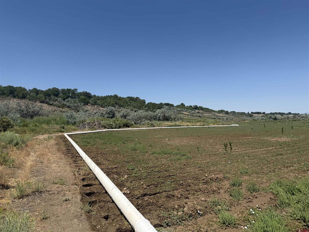 Tbd Orange Rd And 6400 Rd Property Photo 12