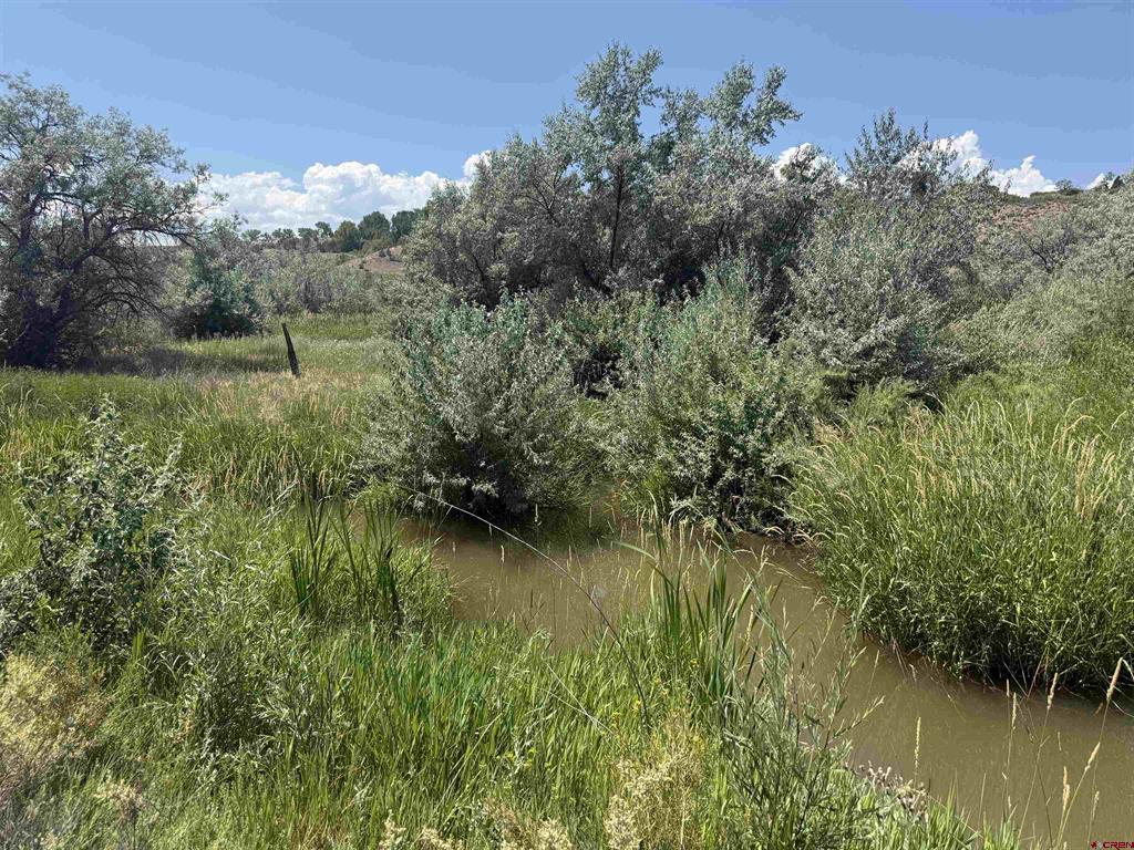 Tbd Orange Rd And 6400 Rd Property Photo 13