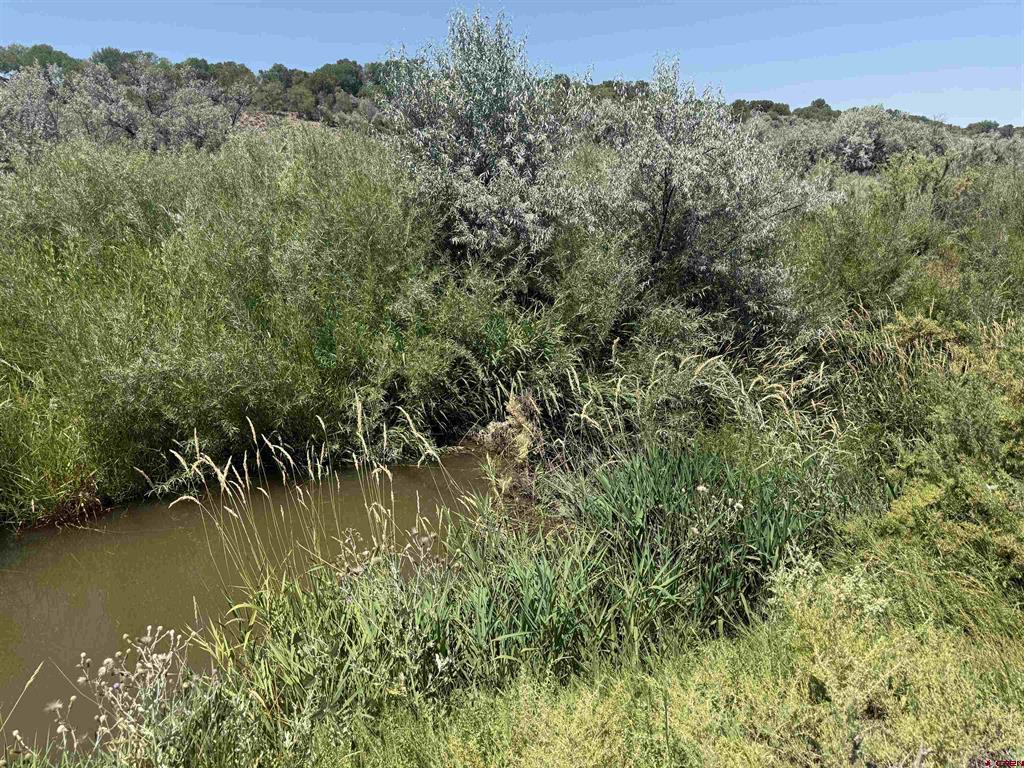 Tbd Orange Rd And 6400 Rd Property Photo 14