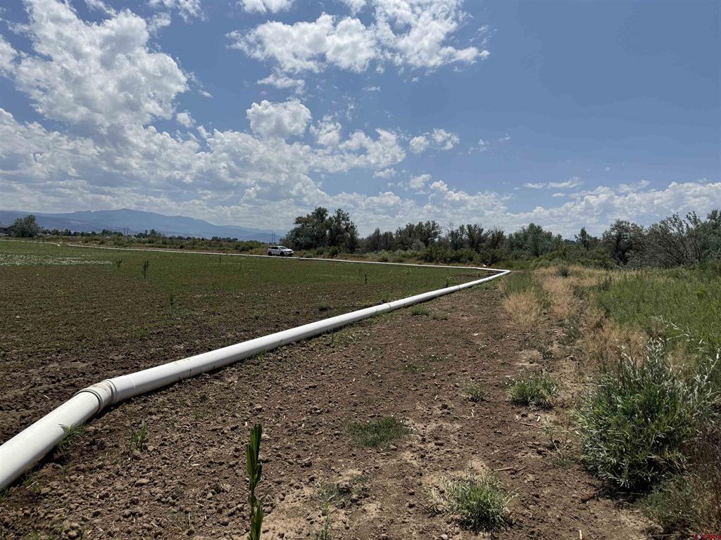 Tbd Orange Rd And 6400 Rd Property Photo 15