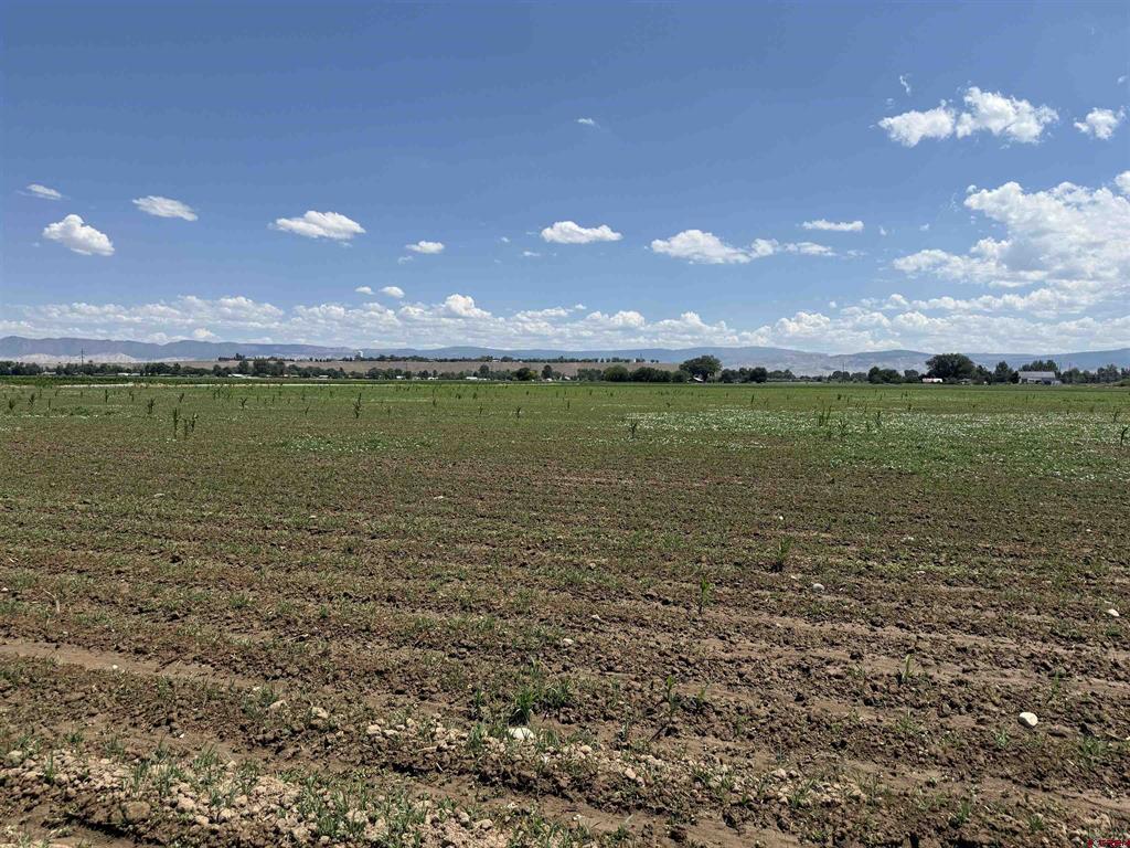 Tbd Orange Rd And 6400 Rd Property Photo 16