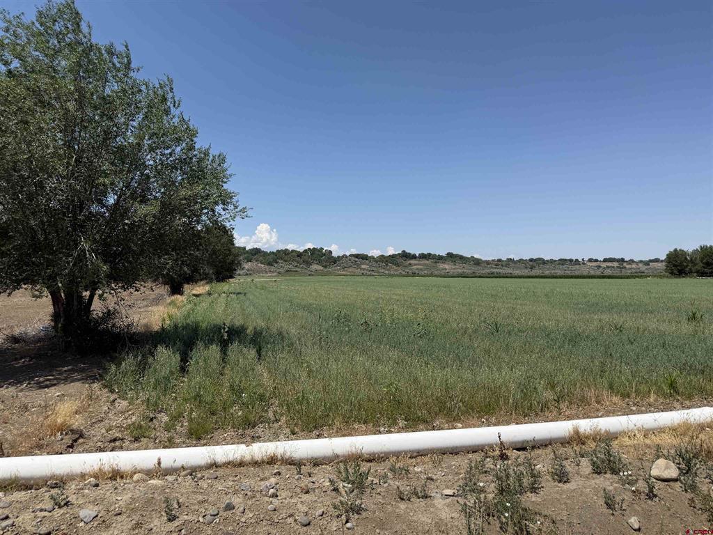 Tbd Orange Rd And 6400 Rd Property Photo 18