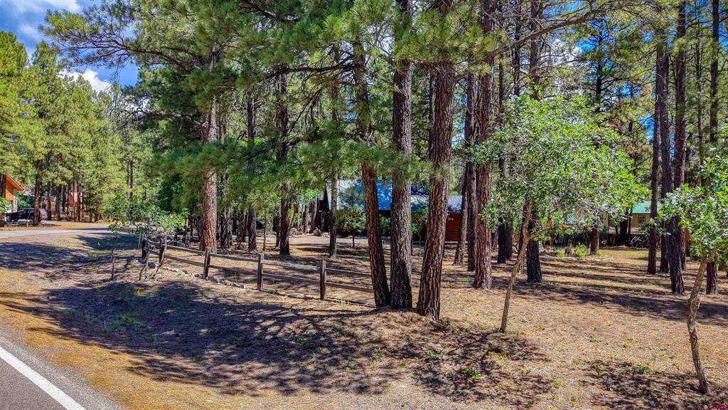 15 Enchanted Place Property Photo 45