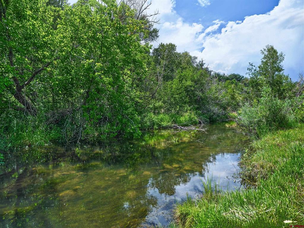2441 County Road 225 Property Photo 13