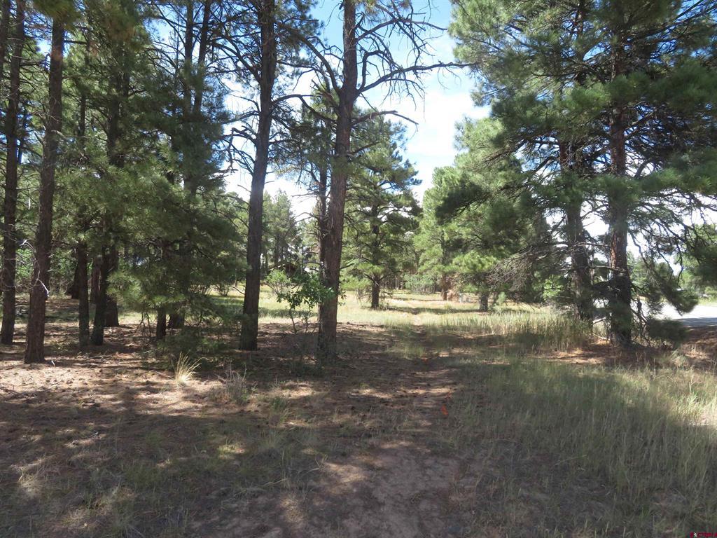 824 Antelope Ave Property Photo