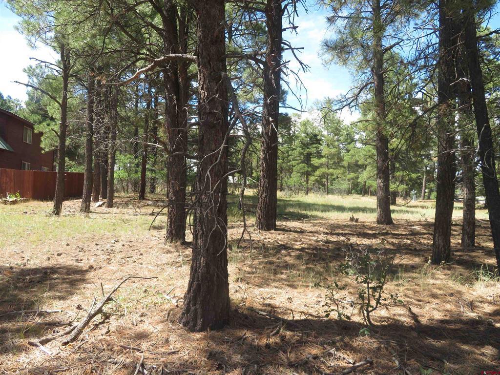 824 Antelope Ave Property Photo 3
