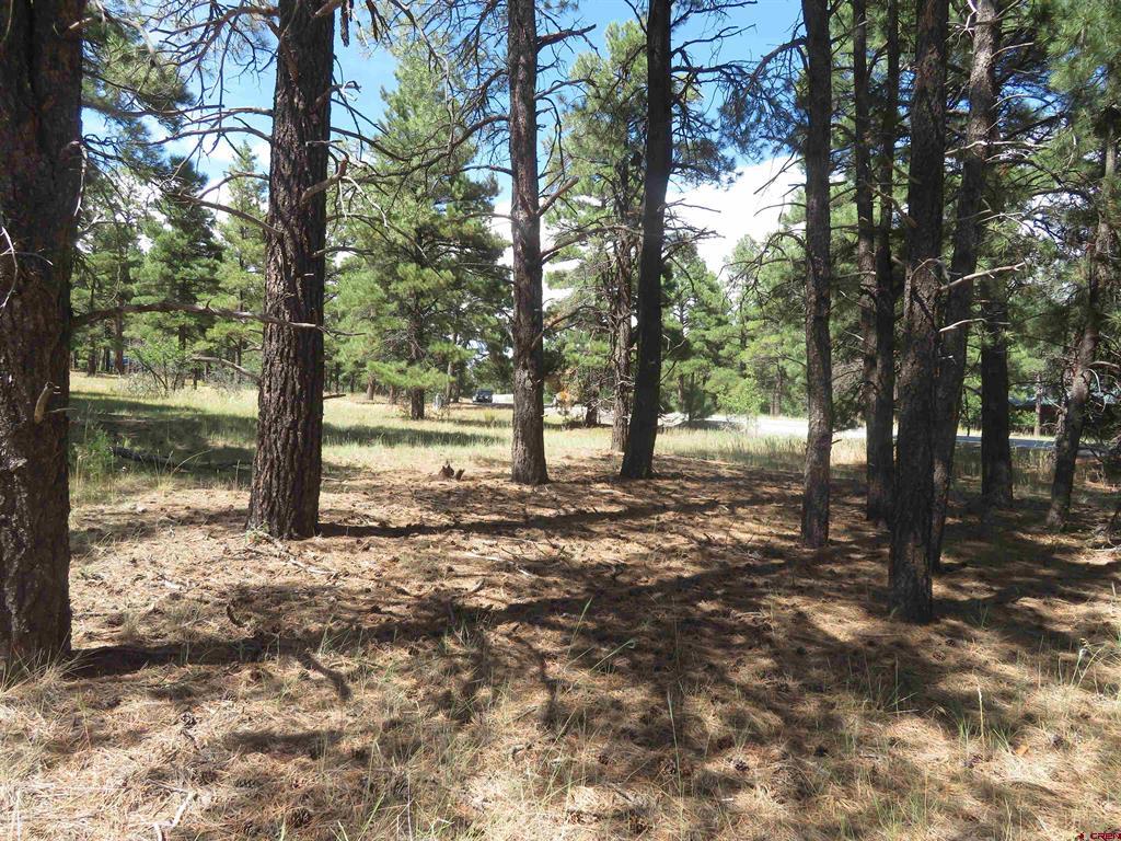 824 Antelope Ave Property Photo 4