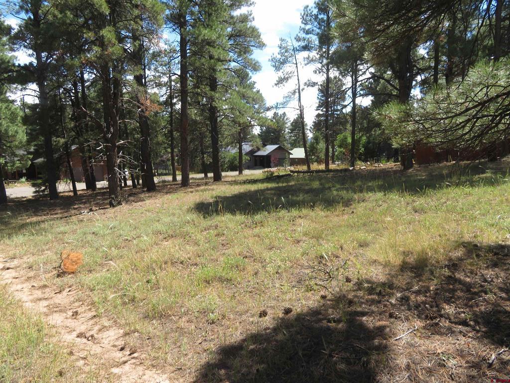 824 Antelope Ave Property Photo 8