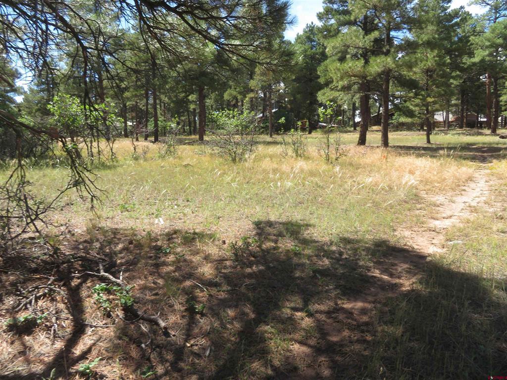 824 Antelope Ave Property Photo 9