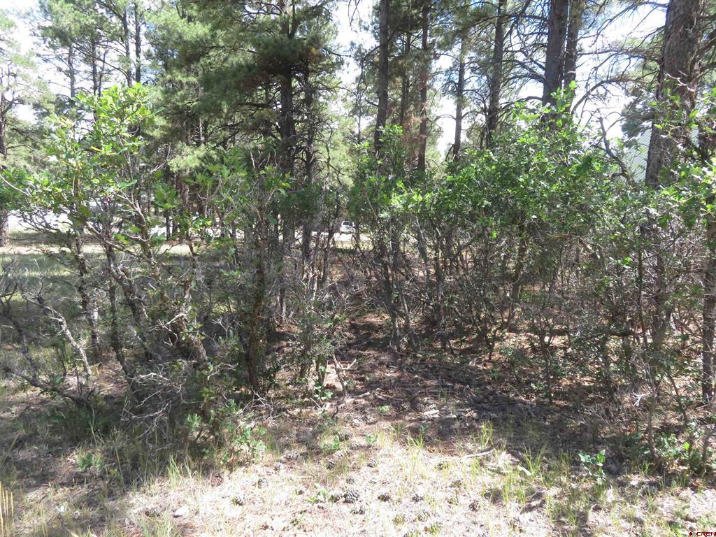 824 Antelope Ave Property Photo 13