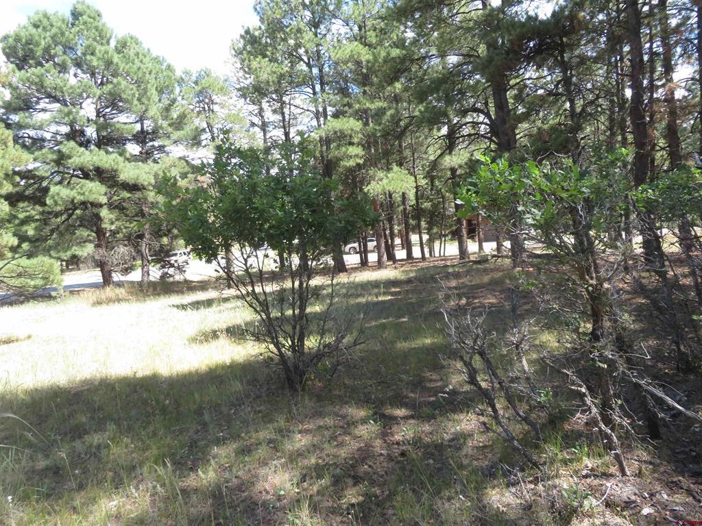 824 Antelope Ave Property Photo 14