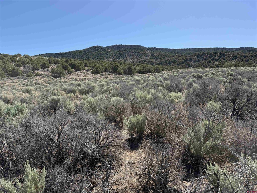 Tbd Sh Hwy 159 Property Photo 1