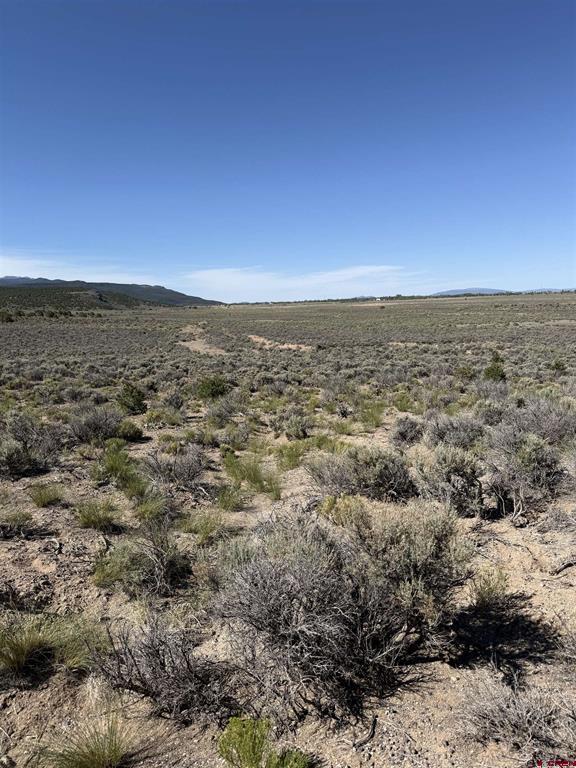 Tbd Sh Hwy 159 Property Photo 3