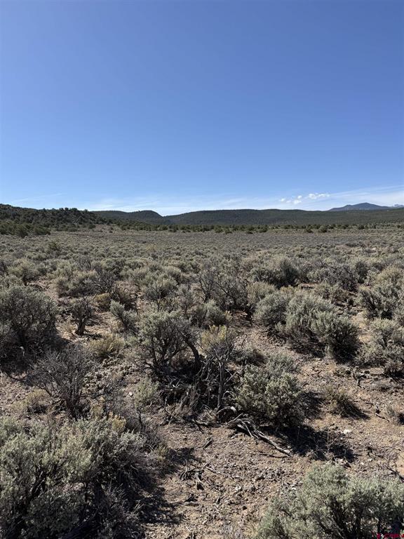 Tbd Sh Hwy 159 Property Photo 4
