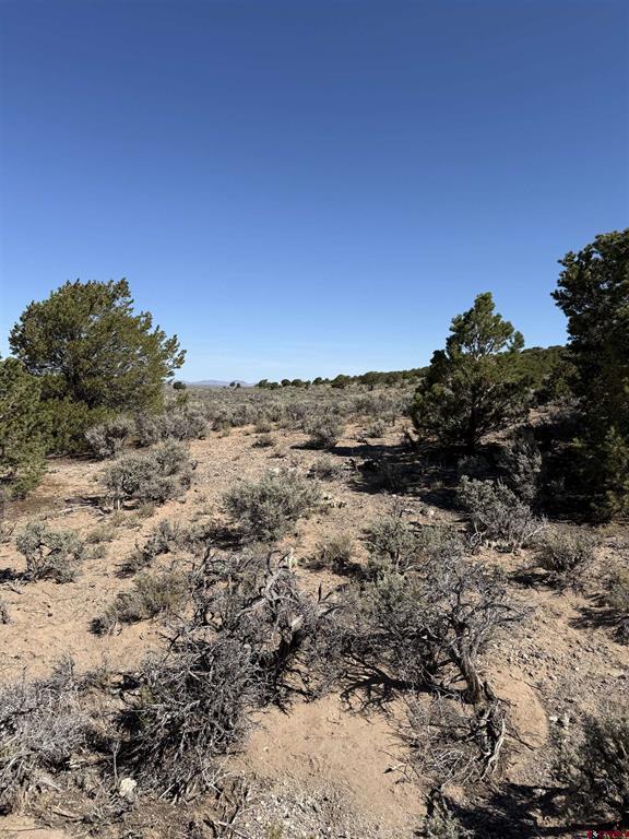 Tbd Sh Hwy 159 Property Photo 6