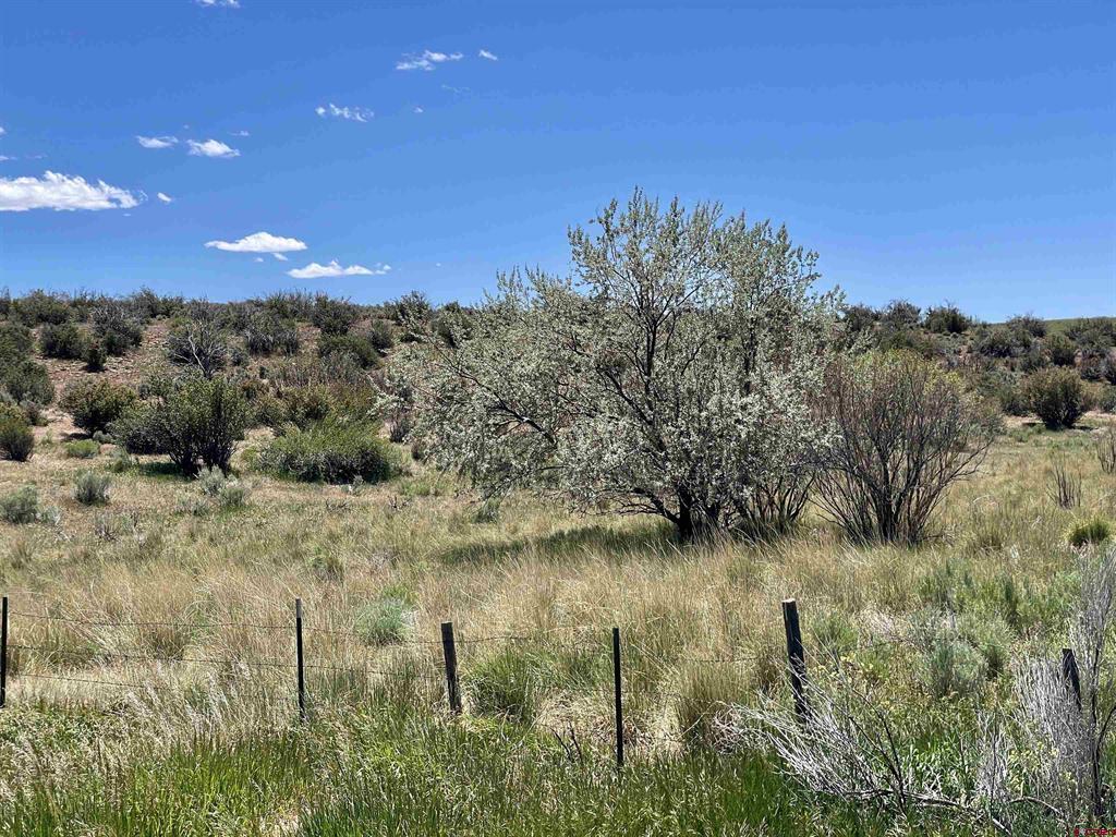 Lot 1 Tbd Road Aa Property Photo 4