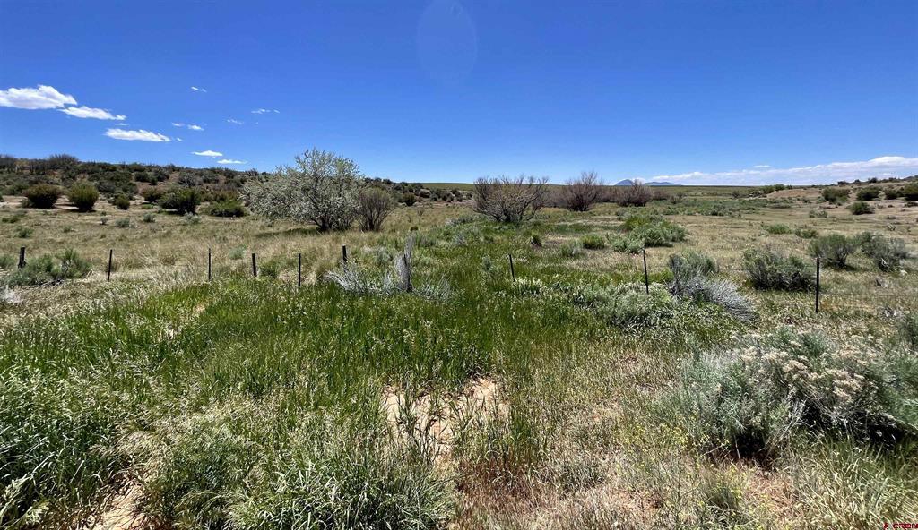 Lot 1 Tbd Road Aa Property Photo 6