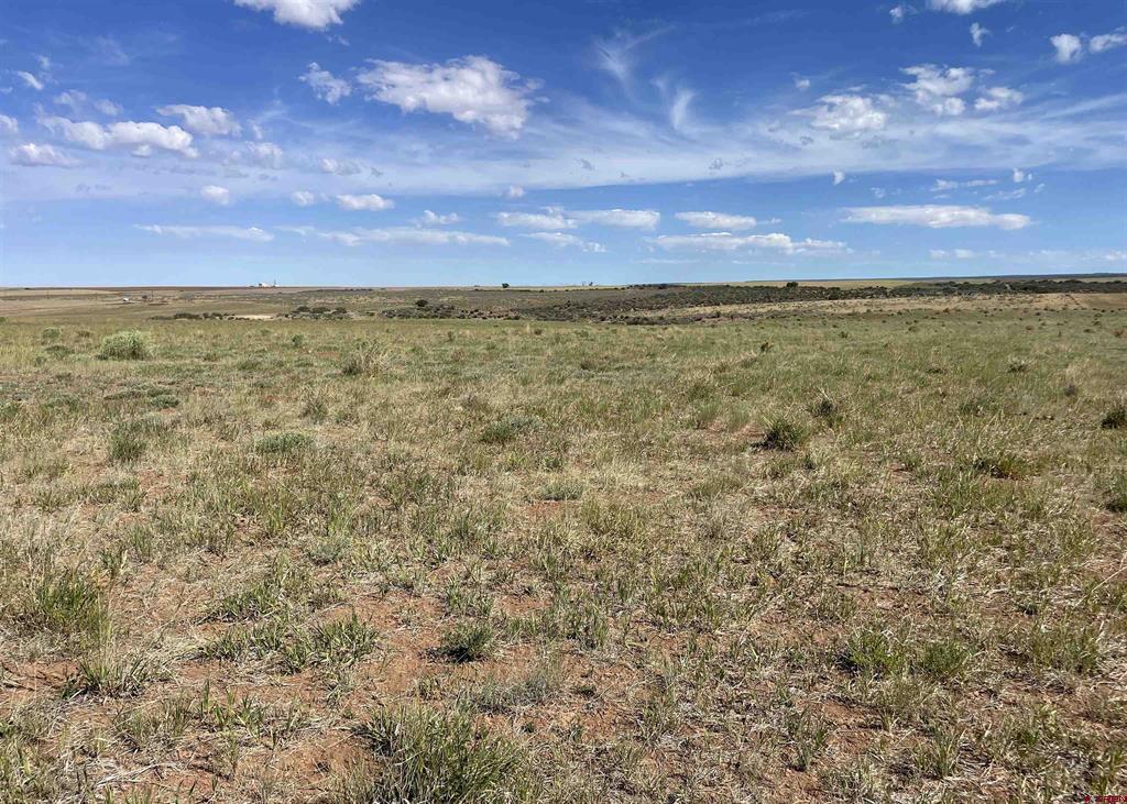 Lot 1 Tbd Road Aa Property Photo 21
