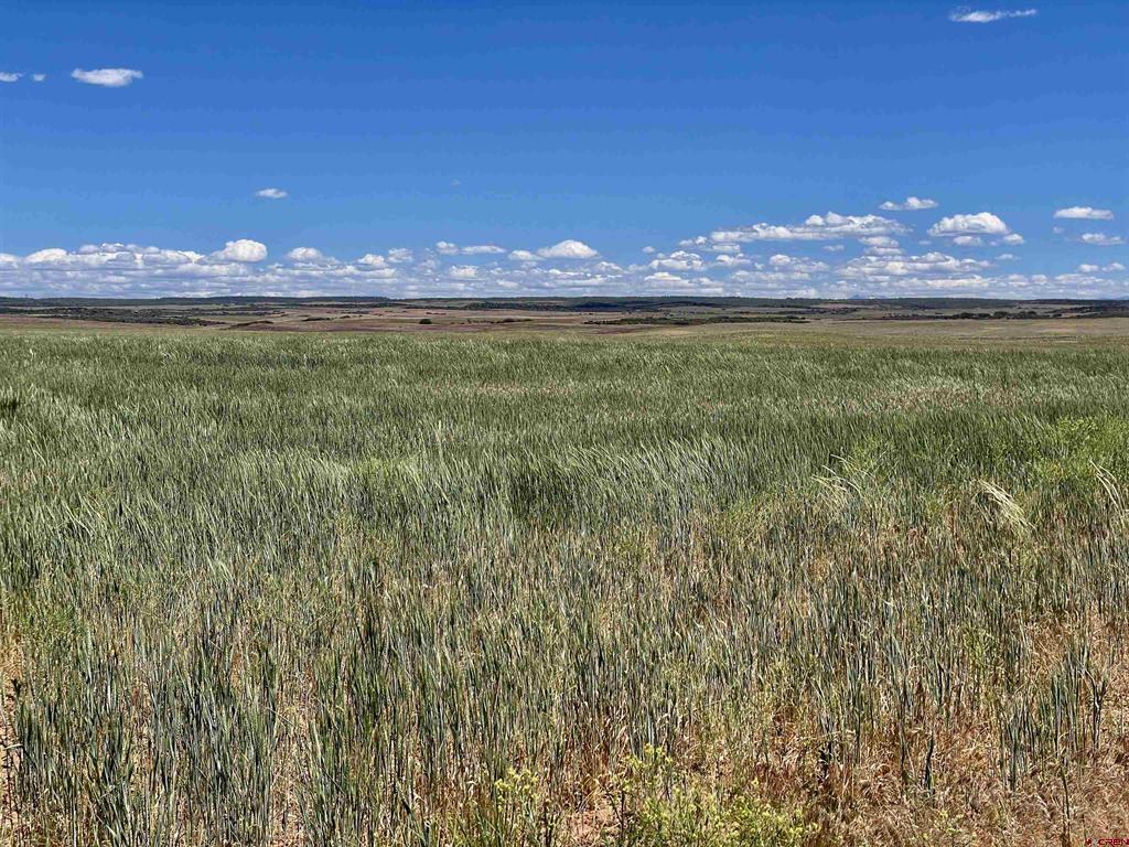 Lot 2 Tbd Road Z Property Photo 2