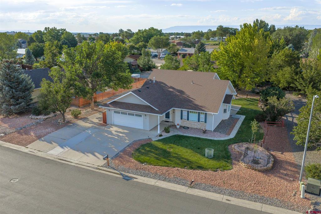 1665 Sneffels Street Property Photo 8