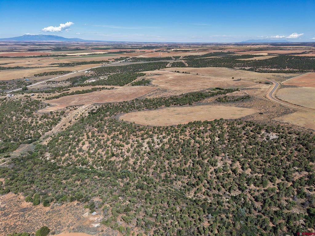 11068 Hwy 491 Property Photo 7
