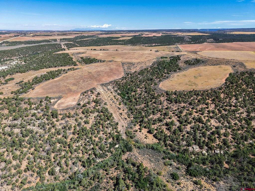 11068 Hwy 491 Property Photo 17