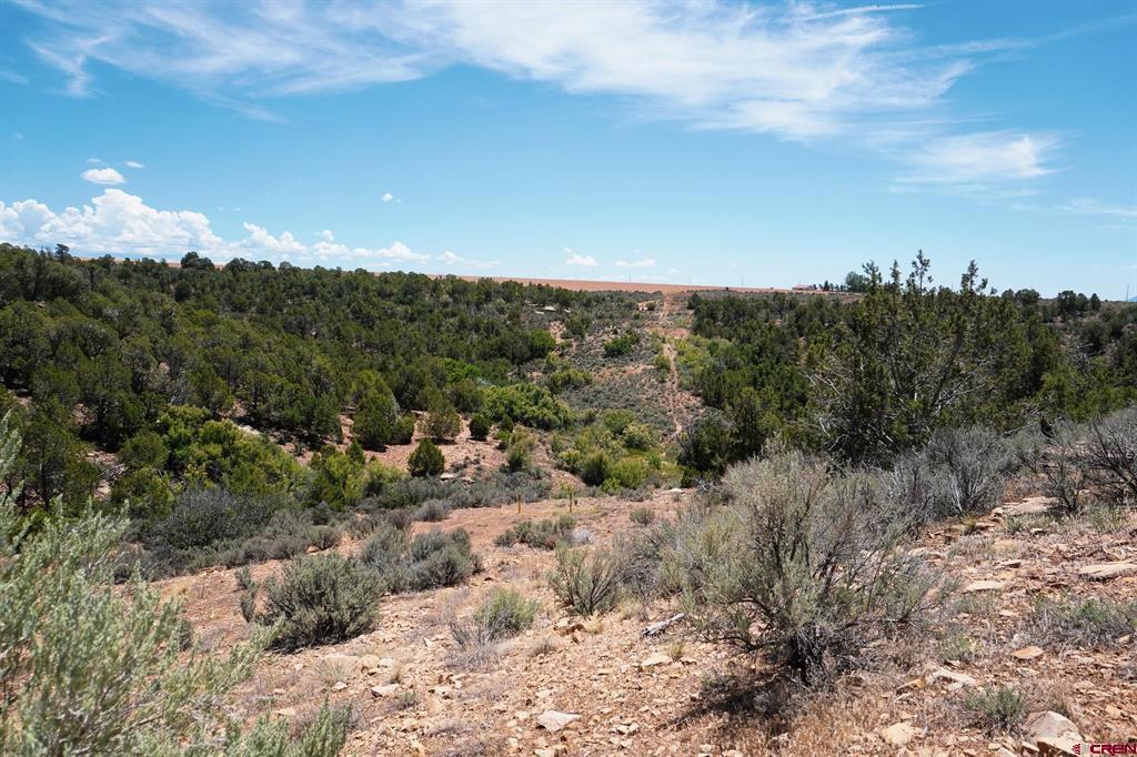 11068 Hwy 491 Property Photo 19