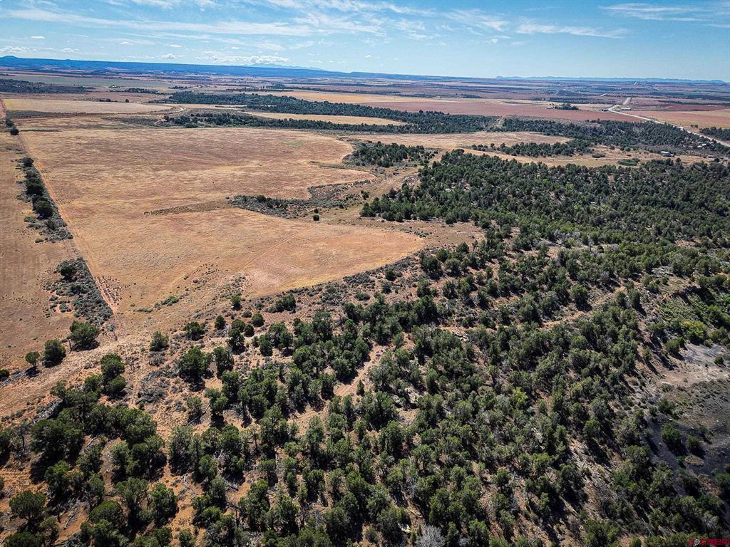 11068 Hwy 491 Property Photo 20