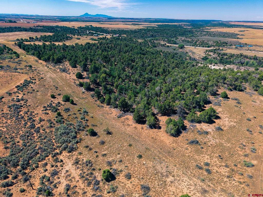 11068 Hwy 491 Property Photo 22
