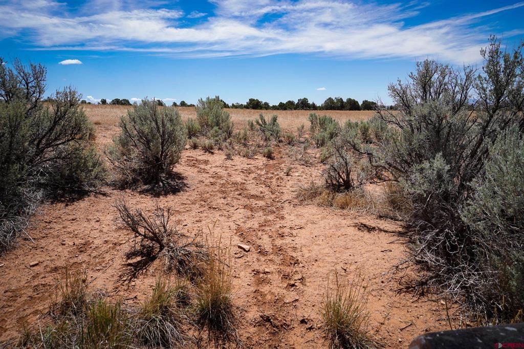 11068 Hwy 491 Property Photo 26
