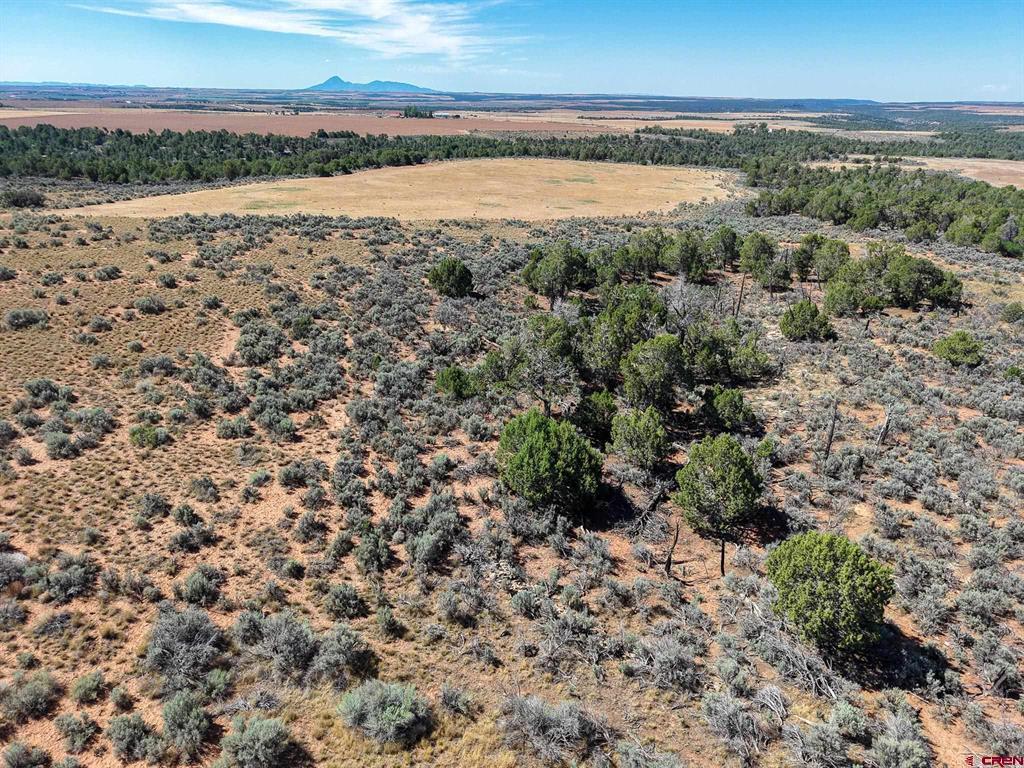 11068 Hwy 491 Property Photo 27