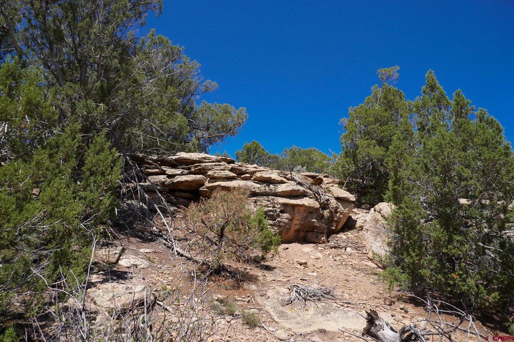 11068 Hwy 491 Property Photo 28