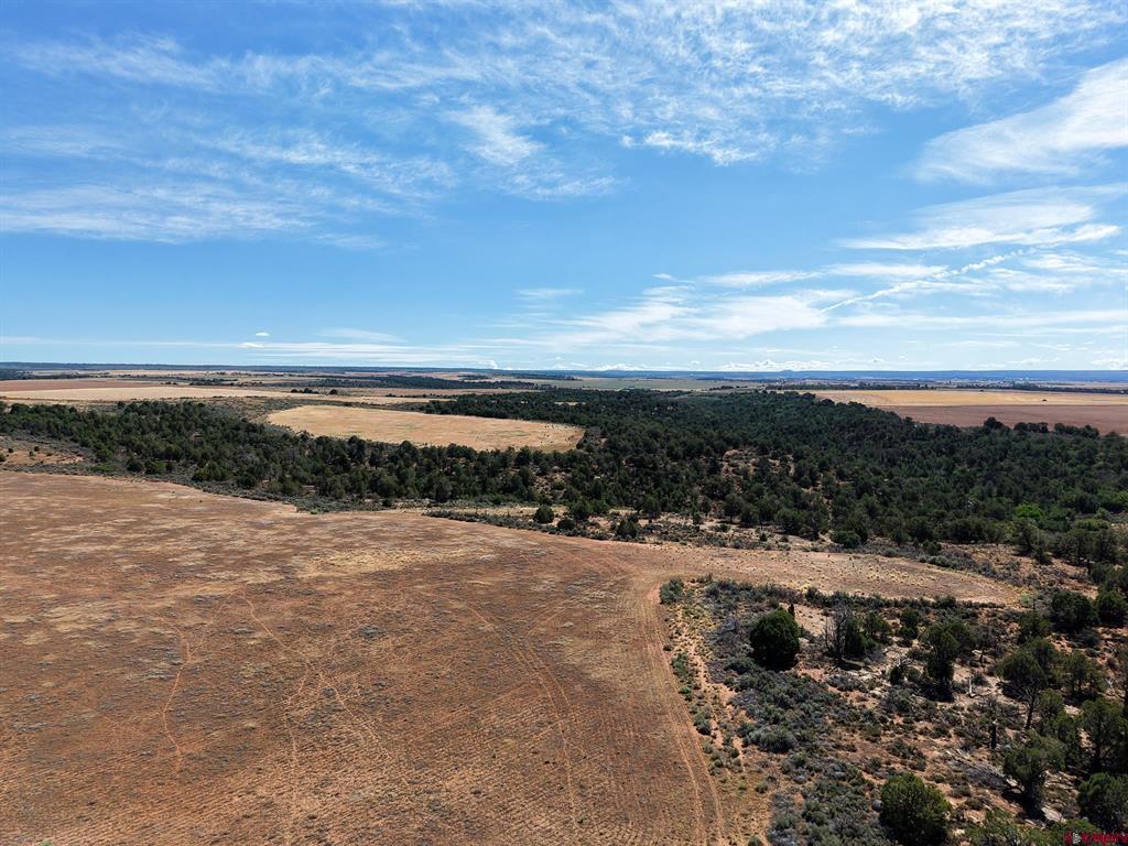 11068 Hwy 491 Property Photo 29