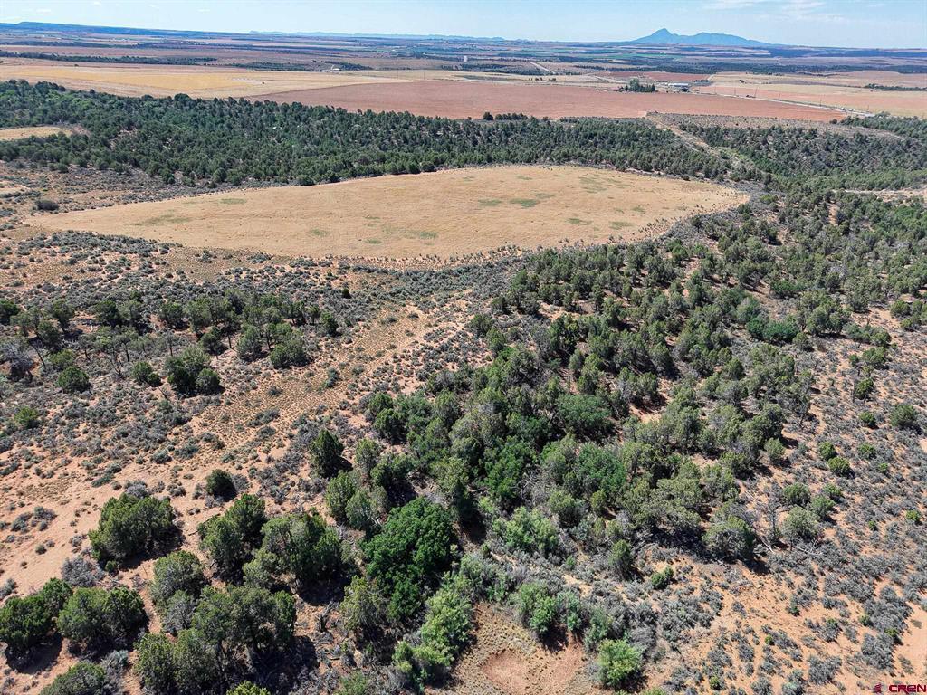 11068 Hwy 491 Property Photo 32
