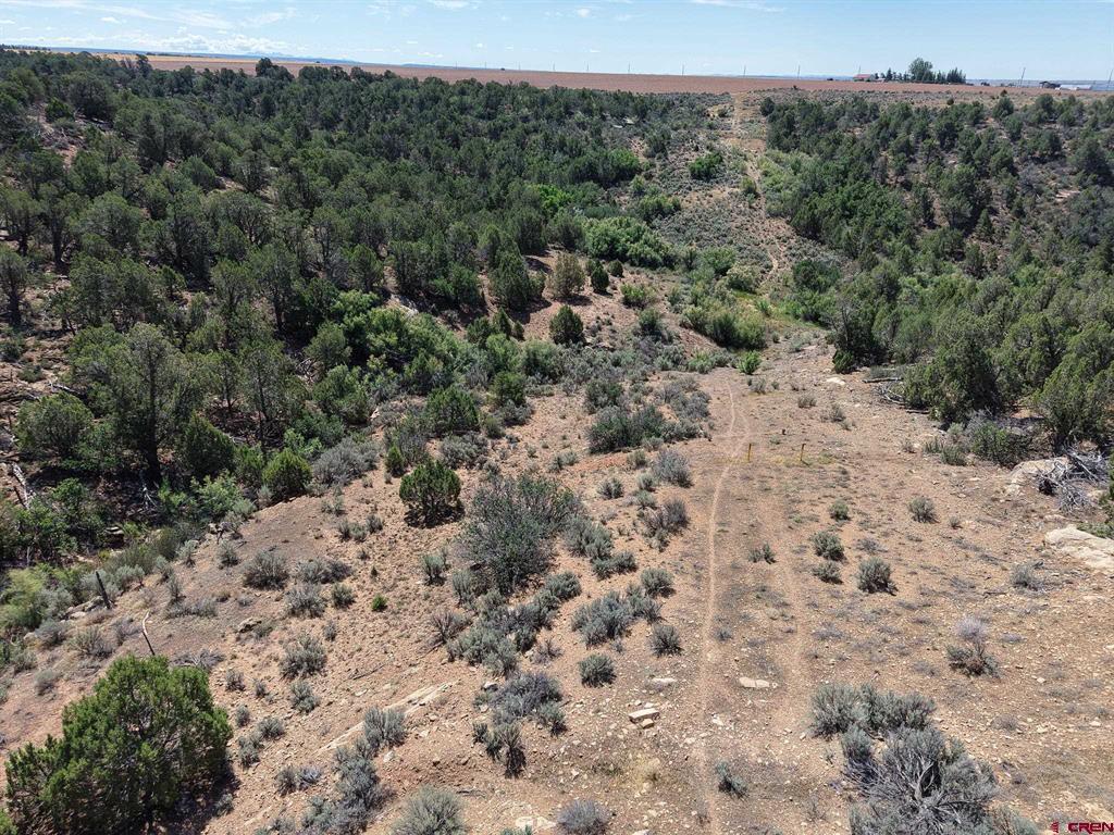 11068 Hwy 491 Property Photo 33