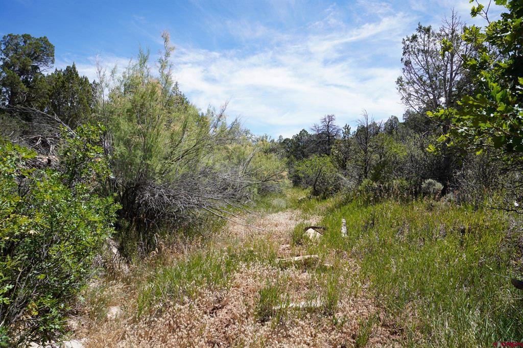 11068 Hwy 491 Property Photo 42