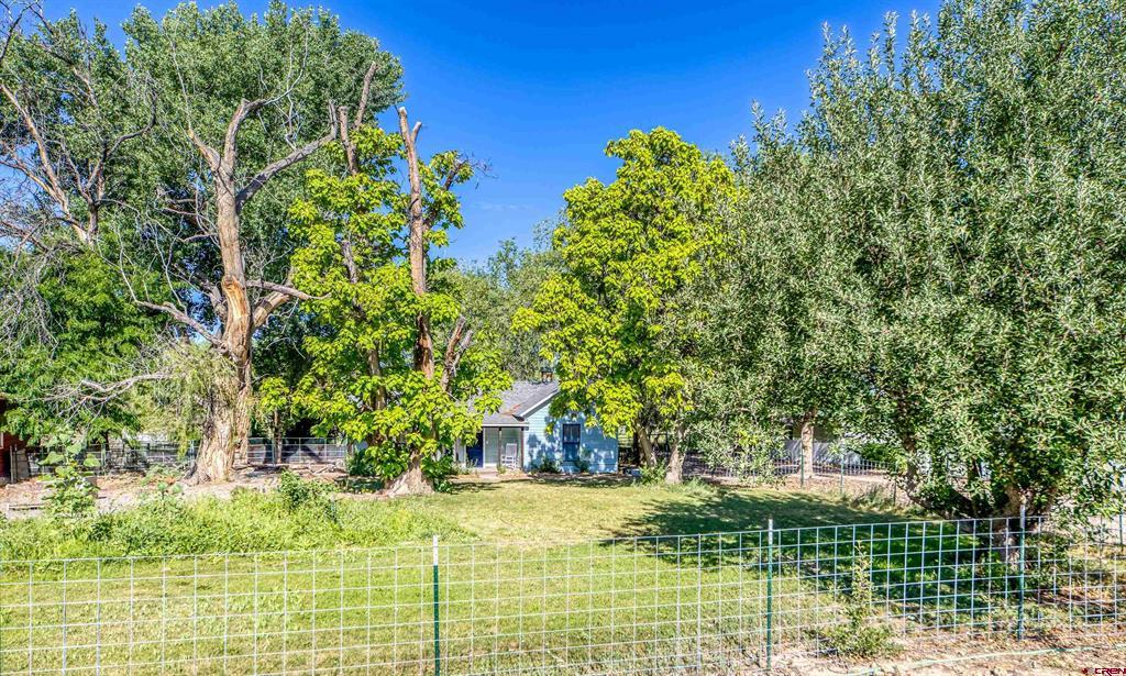241 Hartig Drive Property Photo 21