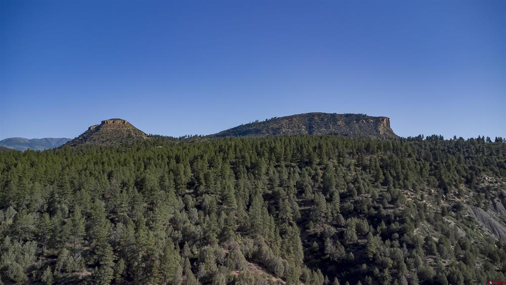 20320 Highway 160 Property Photo 2