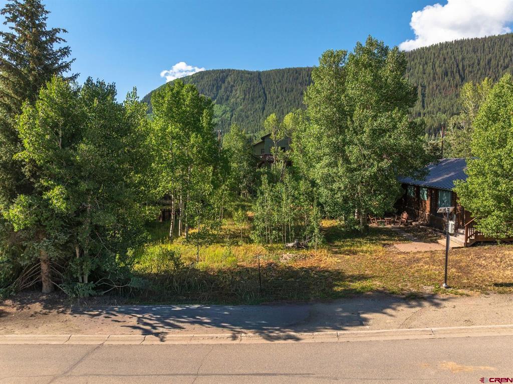 422 Sopris Avenue Property Photo 9