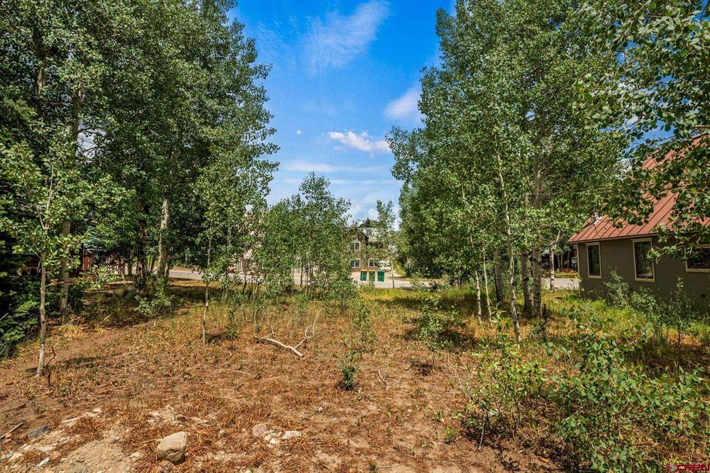 422 Sopris Avenue Property Photo 12
