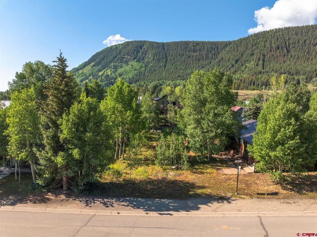 422 Sopris Avenue Property Photo 13
