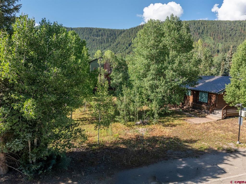 422 Sopris Avenue Property Photo 15