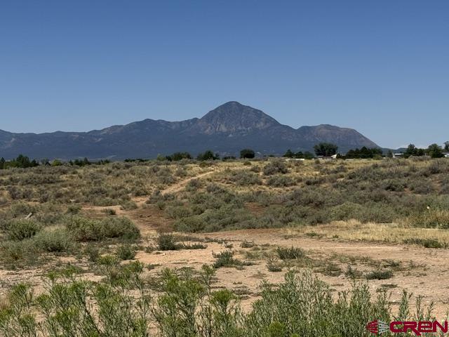 976 Bluffs Blvd Property Photo 27