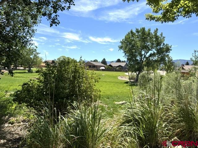 976 Bluffs Blvd Property Photo 28