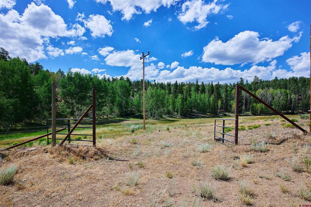 16431 State Highway 149 Property Photo 40