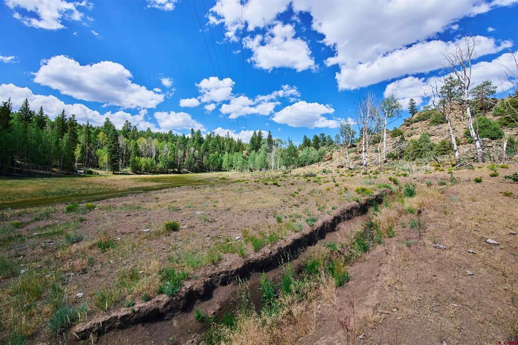 16431 State Highway 149 Property Photo 41