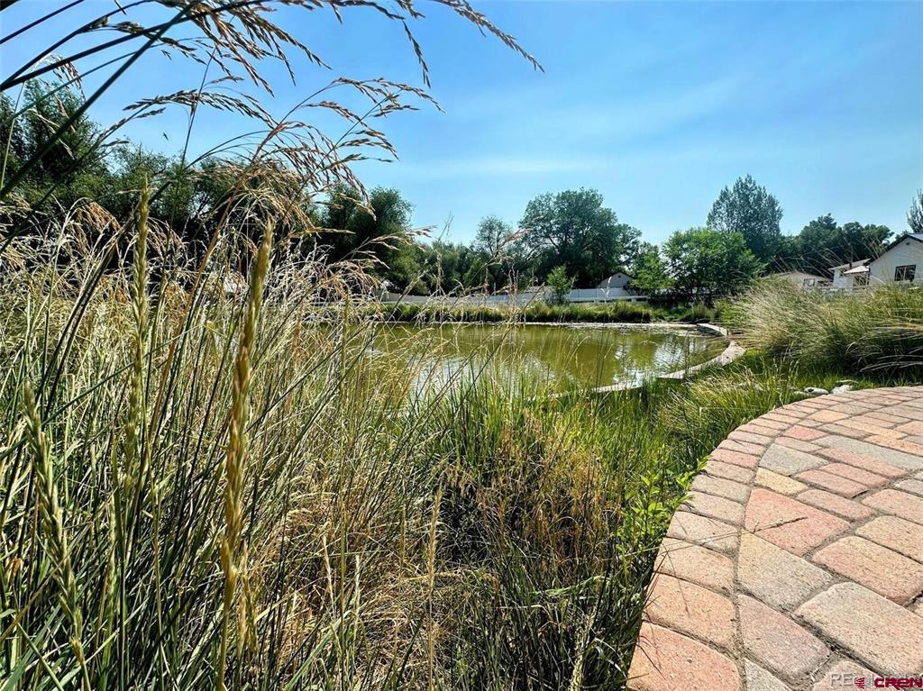 1207 Lincoln Street Property Photo 33