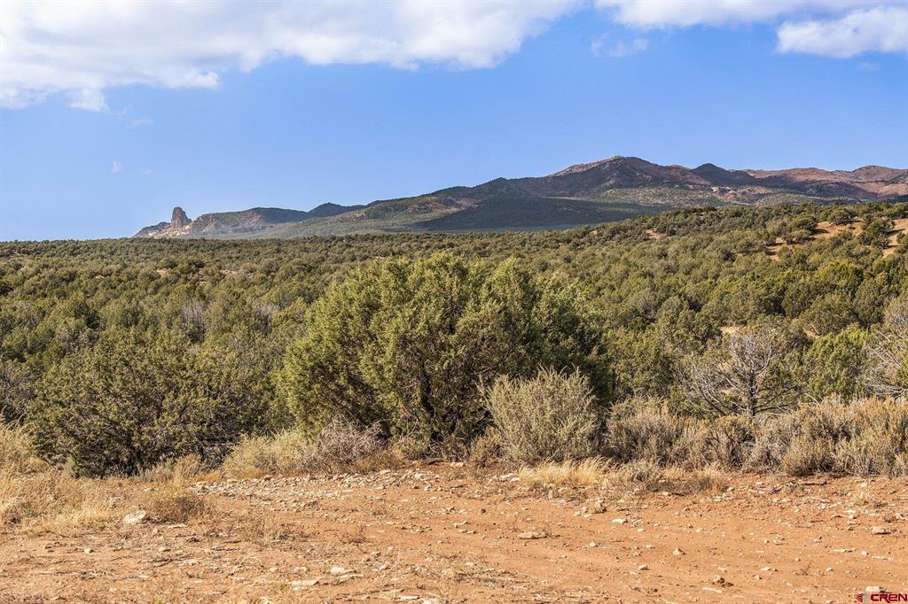 2997 20.5 Road Property Photo 3